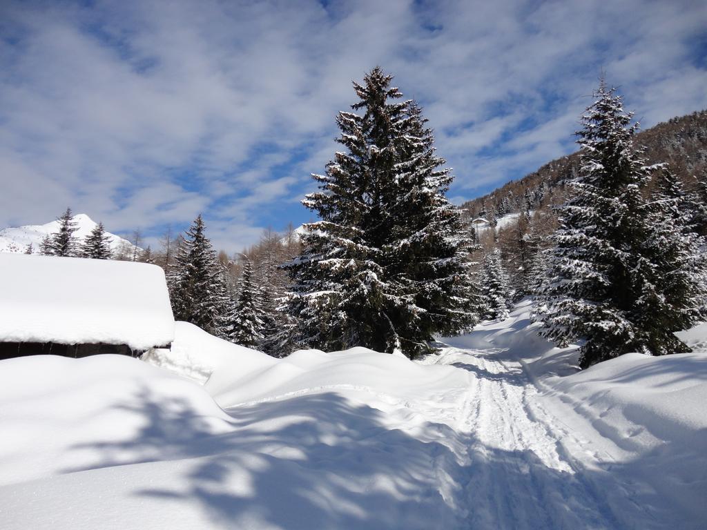 Rifugio Al Lago Del Mortirolo In Inverno Raggiungibile Solo A Piedi Monno Eksteriør billede
