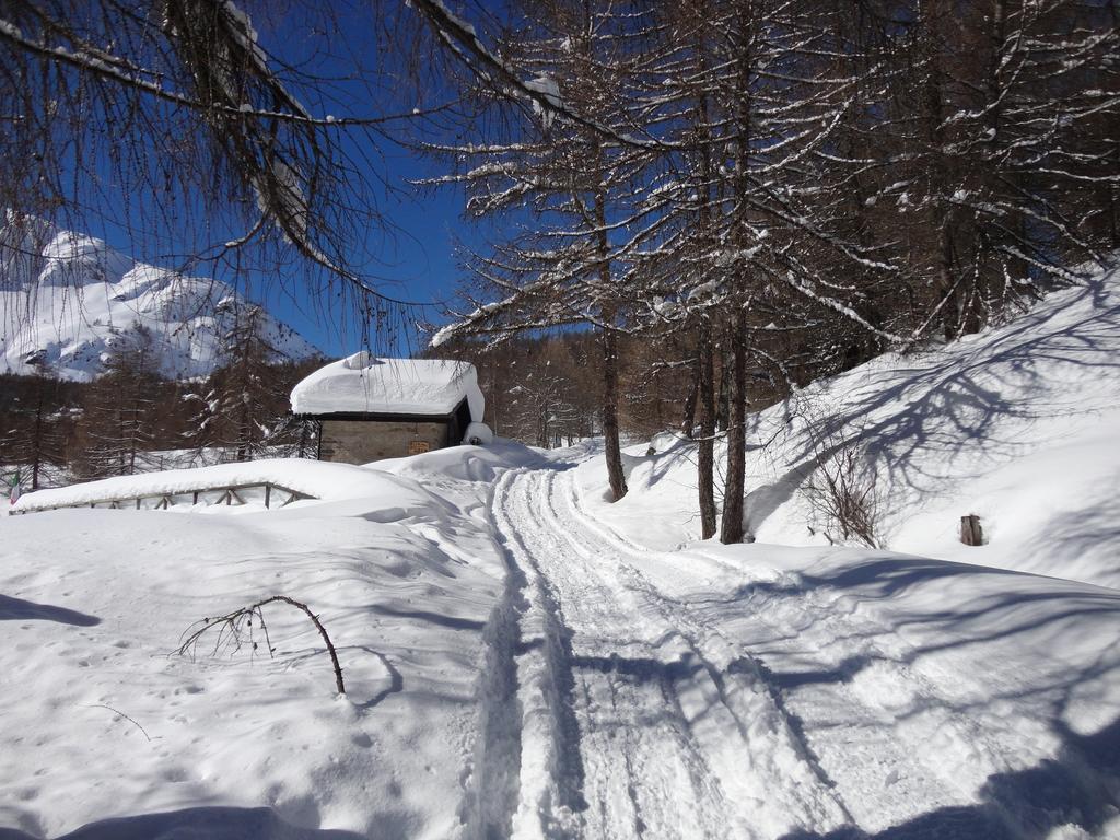 Rifugio Al Lago Del Mortirolo In Inverno Raggiungibile Solo A Piedi Monno Eksteriør billede