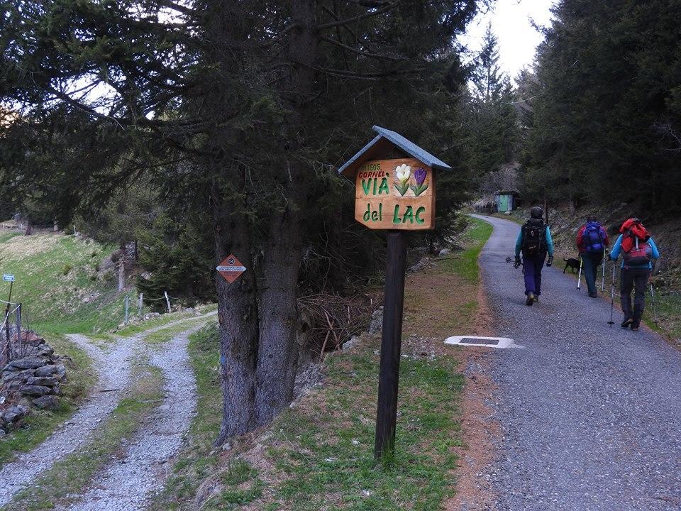Rifugio Al Lago Del Mortirolo In Inverno Raggiungibile Solo A Piedi Monno Eksteriør billede