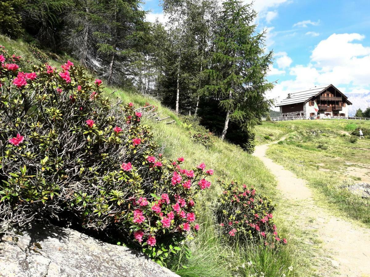 Rifugio Al Lago Del Mortirolo In Inverno Raggiungibile Solo A Piedi Monno Eksteriør billede